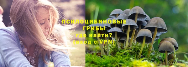 COCAINE Богородицк