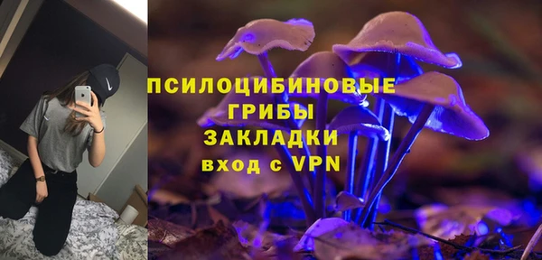 COCAINE Богородицк