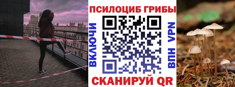 Купить закладки  Первомайск  Галлюциногенные грибы мухоморы 